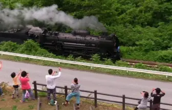 Japanese Steam Locomotive SL D51-498