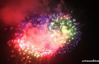 Winnner's work of Design Hanabi Contest - Akagawa Fireworks festival 2013