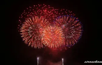 Akagawa Fireworks Festival 2013 Dsign Hanabi Contest - Satou enka