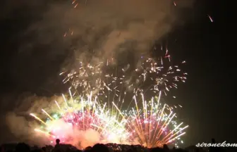 Akagawa Fireworks Festival 2013 Design Hanabi Contest - Taiyodo tamura Enka