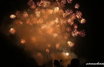 Akagawa Fireworks Festival 2013 Design Hanabi Contest - Wabiya