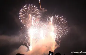 Akagawa Fireworks Festival 2013 Design Hanabi Contest - Wakamatsu enka