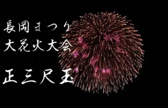 Nagaoka Fireworks Festival 2014 Syo-sanjakudama (36 inch shell Firework)