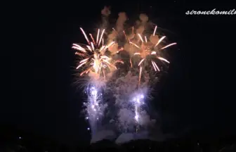 Akagawa Fireworks Festival 2014 All Japan Design Hanabi Contest - Ando Enka