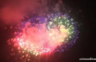 Akagawa Fireworks Festival 2013 All Japan Design Hanabi Contest / Marugo